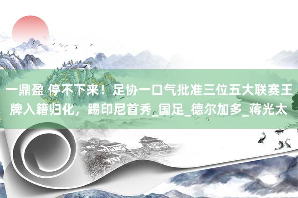 一鼎盈 停不下来！足协一口气批准三位五大联赛王牌入籍归化，踢印尼首秀_国足_德尔加多_蒋光太