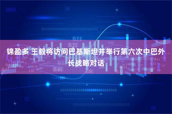 锦盈多 王毅将访问巴基斯坦并举行第六次中巴外长战略对话