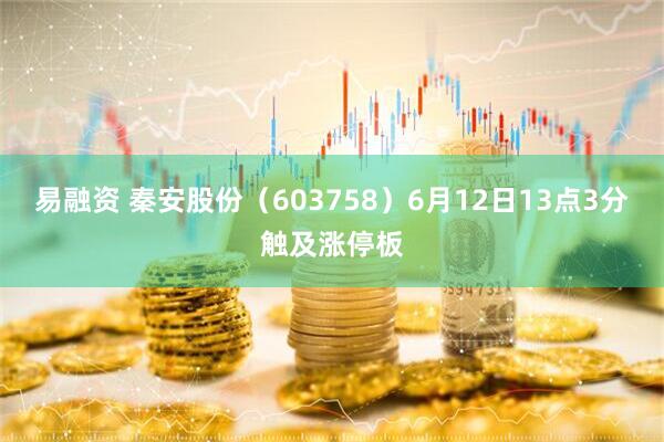 易融资 秦安股份（603758）6月12日13点3分触及涨停板