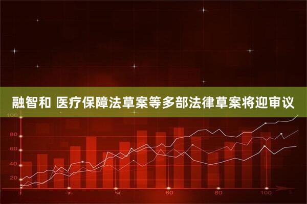 融智和 医疗保障法草案等多部法律草案将迎审议